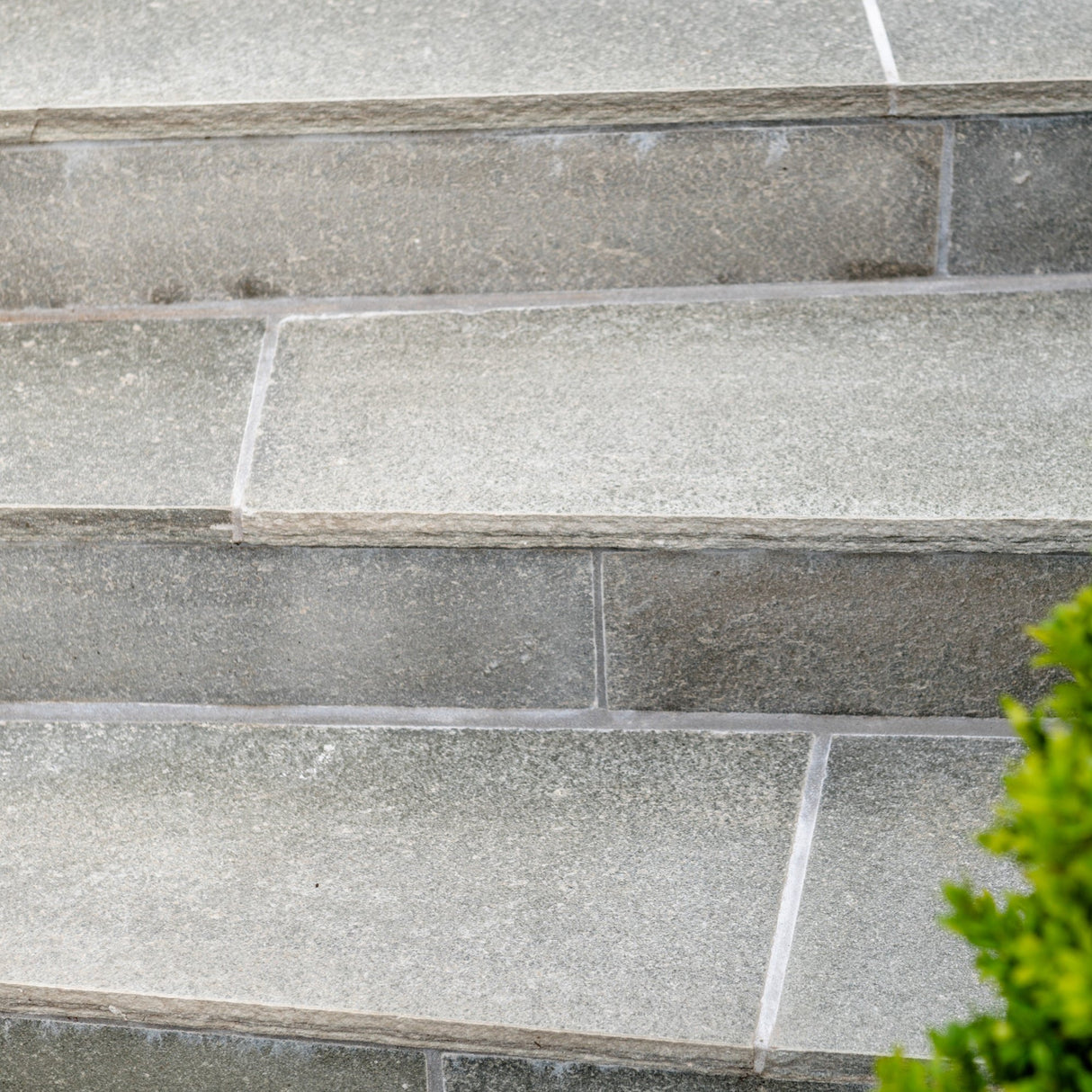 Opptrinn Lys Oppdal Natur Saget Kant