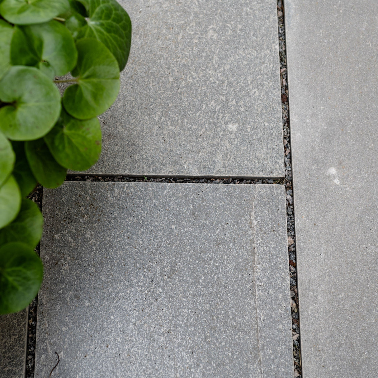 Belegningsheller Lys Oppdal natur rustikk saget kant - Skiferbutikken