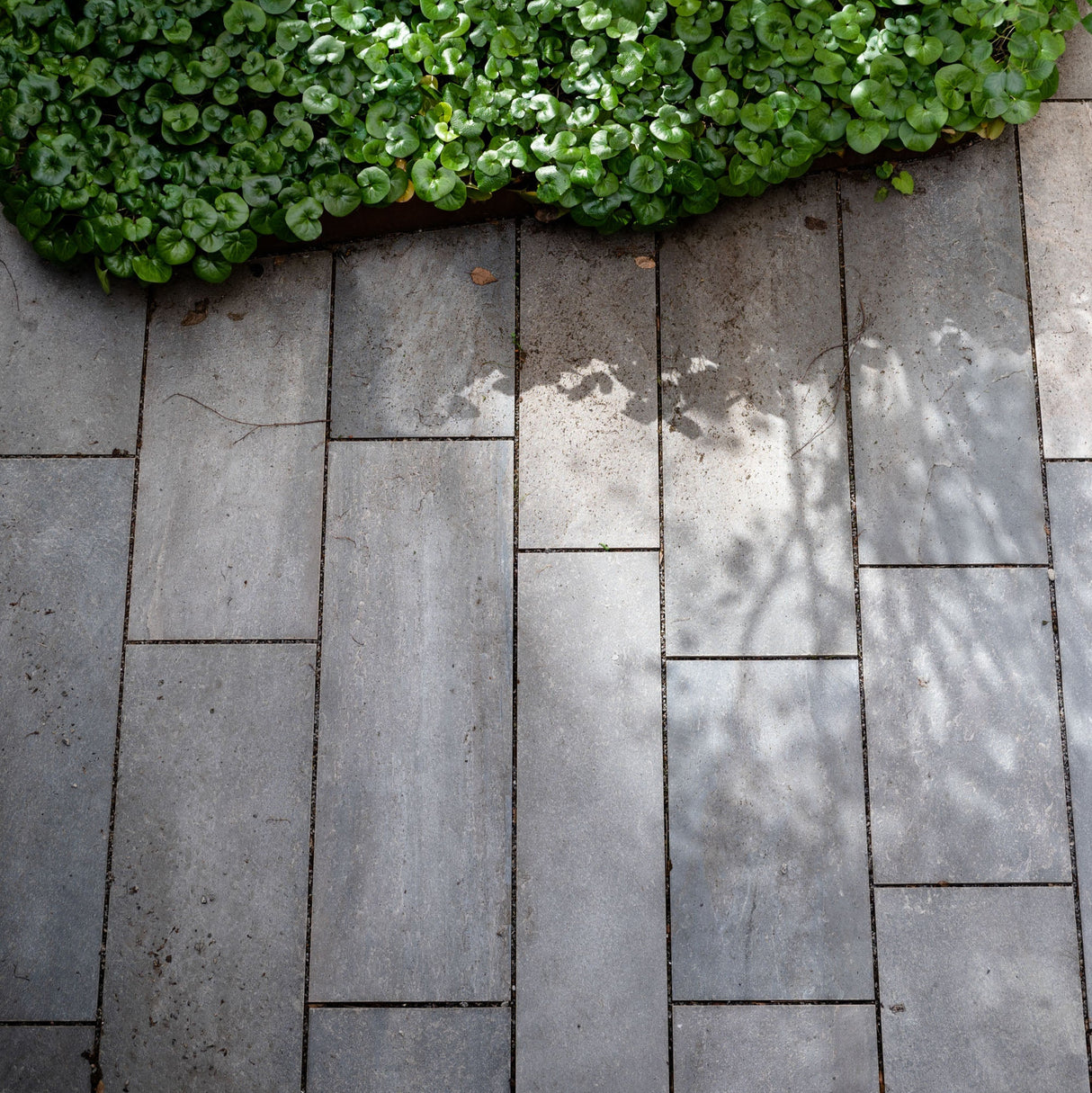 Belegningsheller Lys Oppdal natur rustikk saget kant - Skiferbutikken