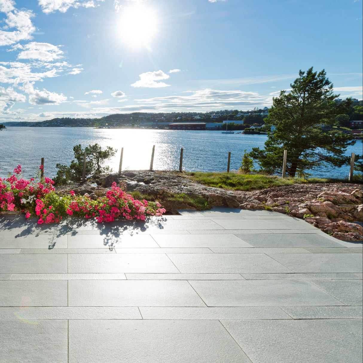 Uteflis Altaskifer Natur